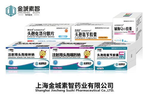 副省長(zhǎng)王桂英赴金城醫(yī)藥調(diào)研 聚焦合成生物學(xué)與食品藥品安全，助力新興產(chǎn)業(yè)筑基