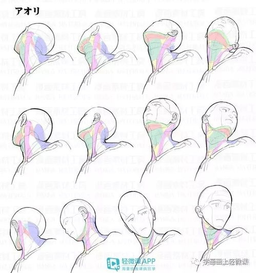 不會畫頭像？這100張高清素材趕緊收藏，平面設(shè)計必備！